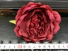 Five roses details Picture